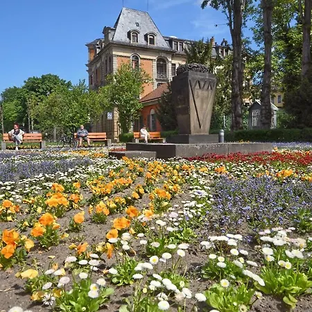 Villa Am Stadtpark * Pirna